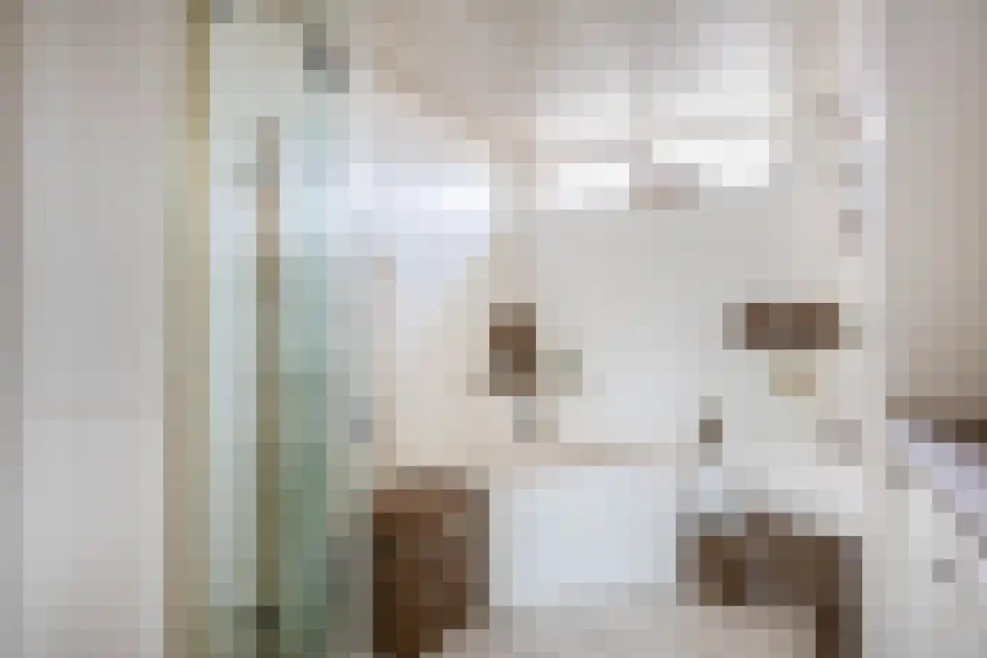 Deel 39 Brielle thumbnail 26