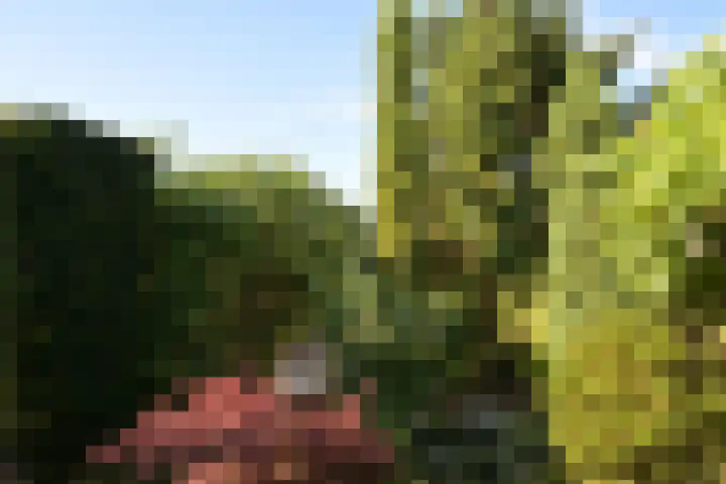 Deel 39 Brielle thumbnail 32