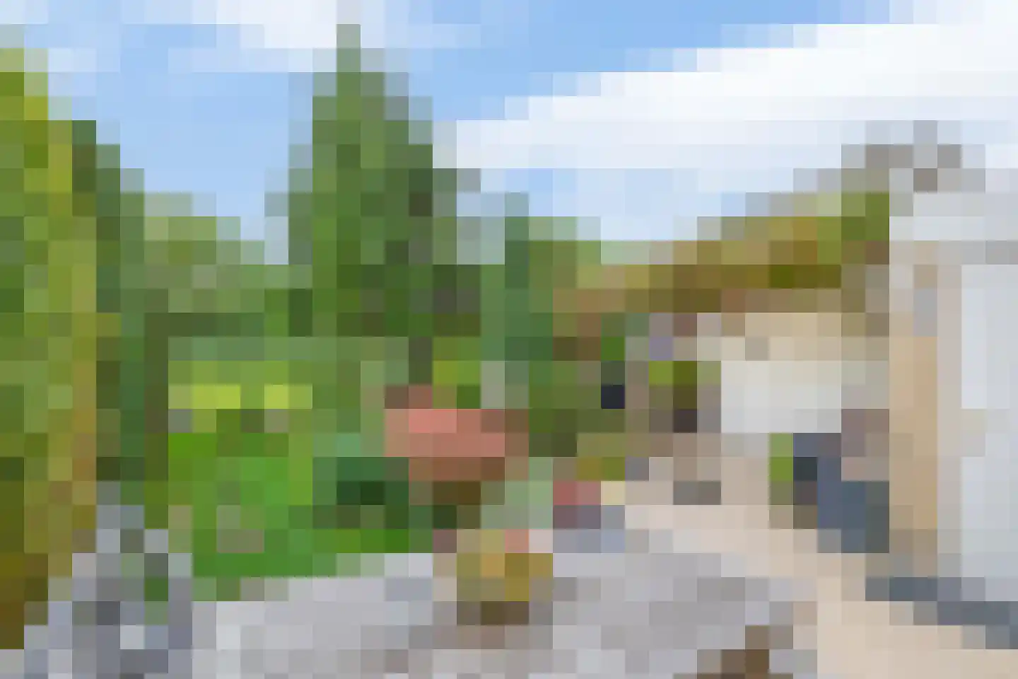 Deel 39 Brielle thumbnail 34