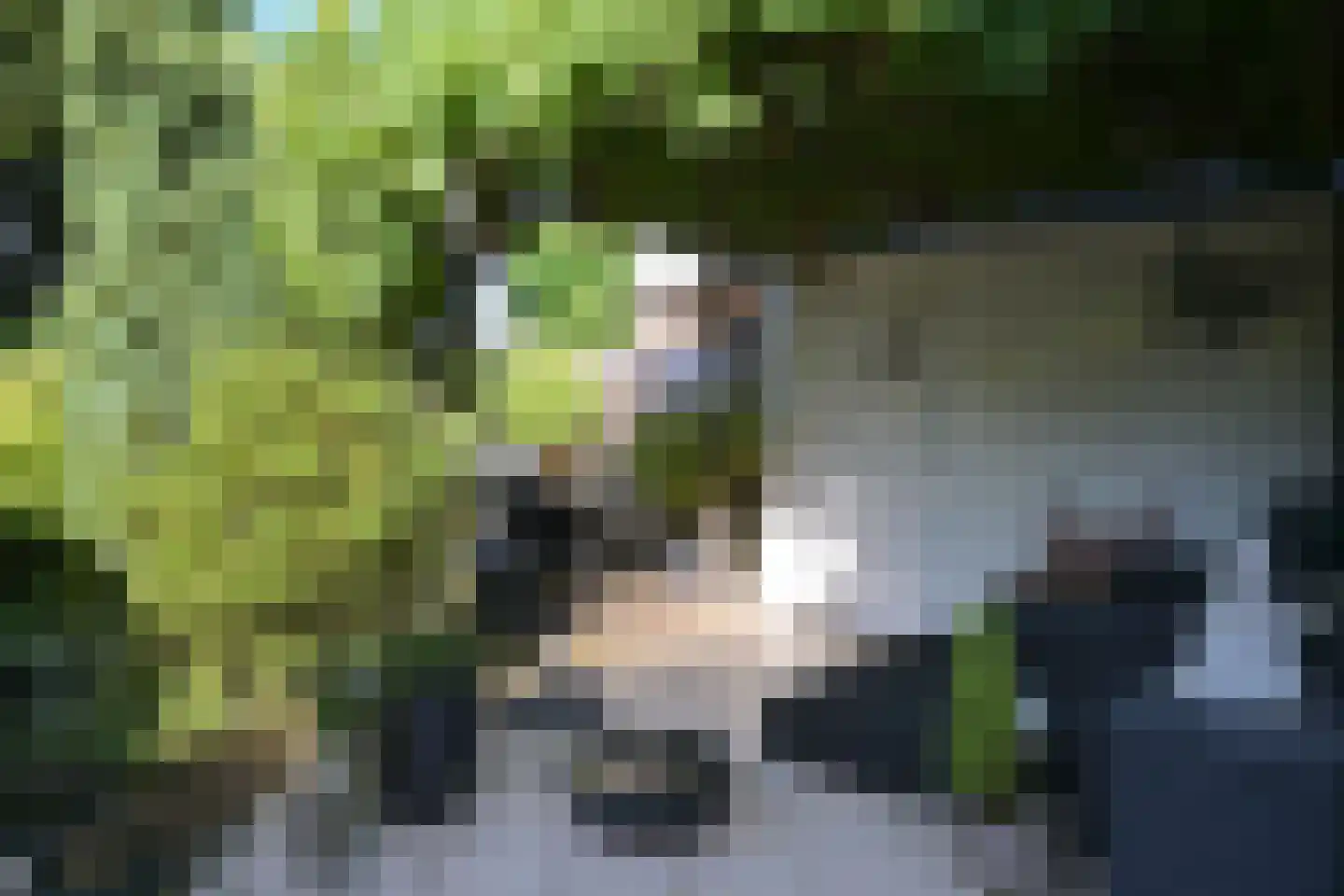 Deel 39 Brielle thumbnail 35