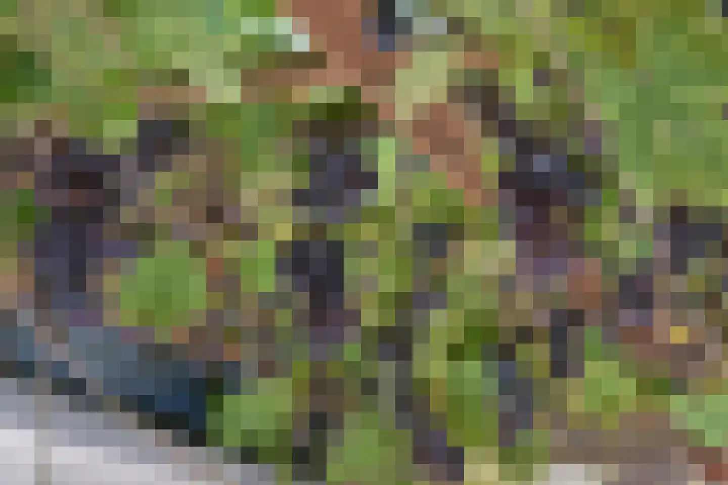 Deel 39 Brielle thumbnail 36