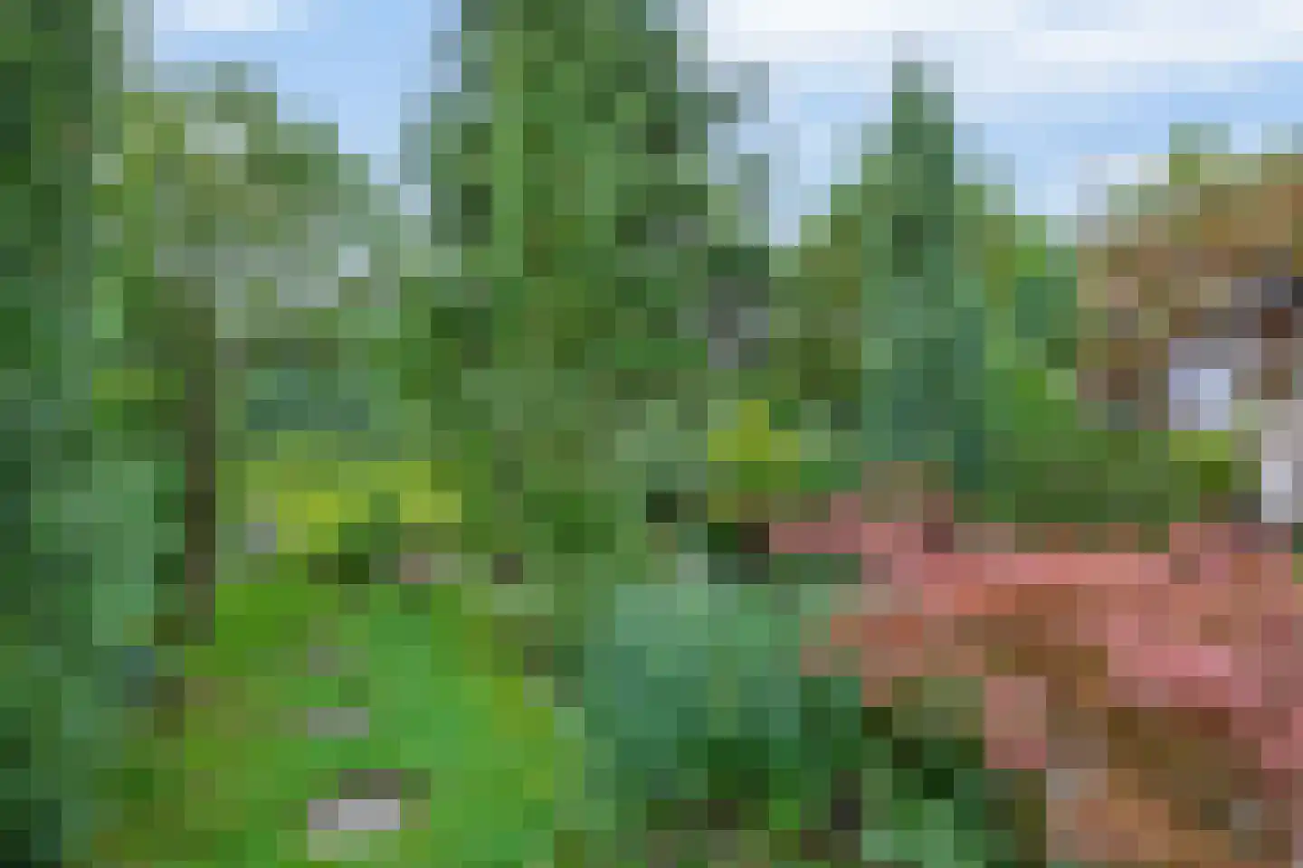 Deel 39 Brielle thumbnail 37