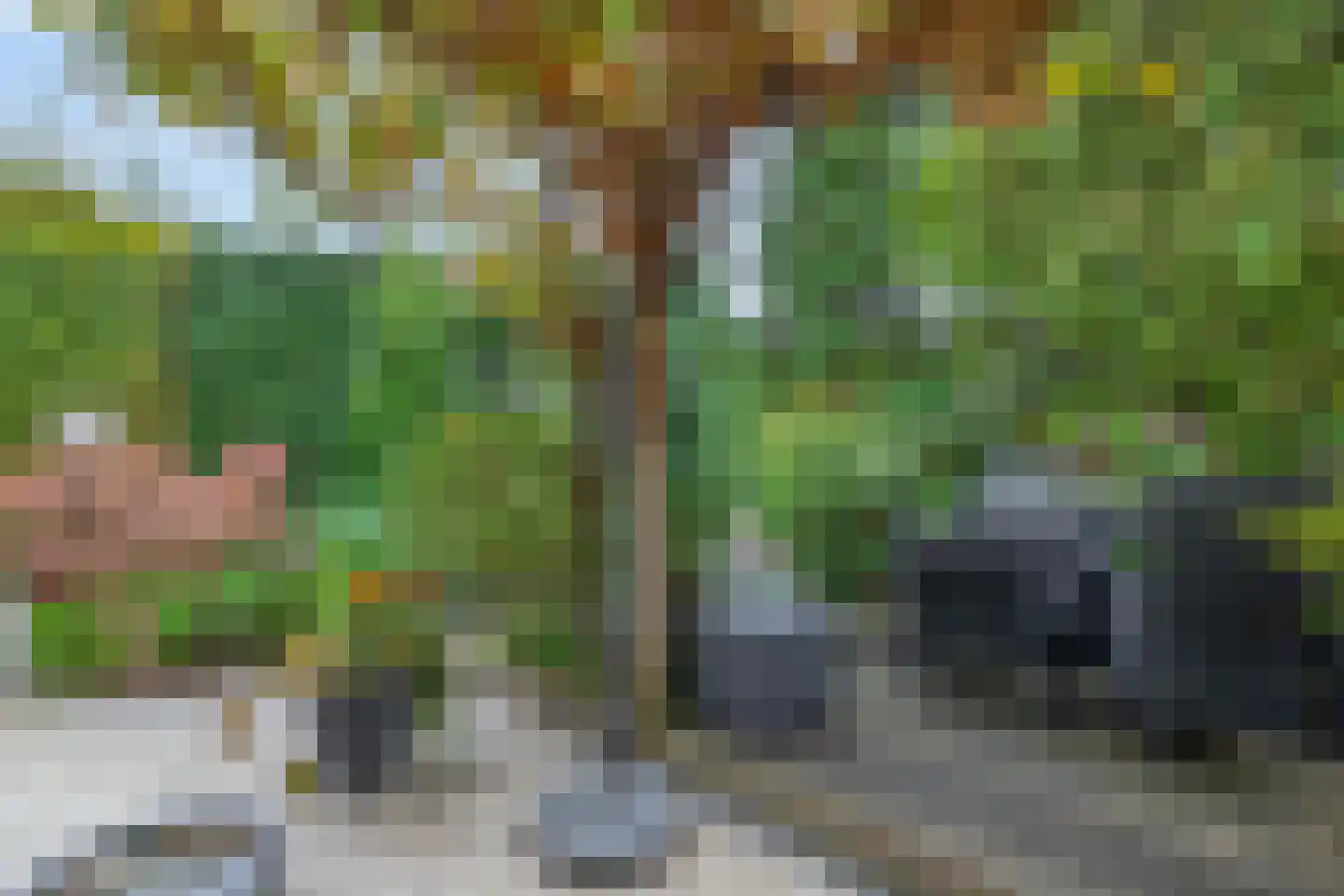 Deel 39 Brielle thumbnail 38
