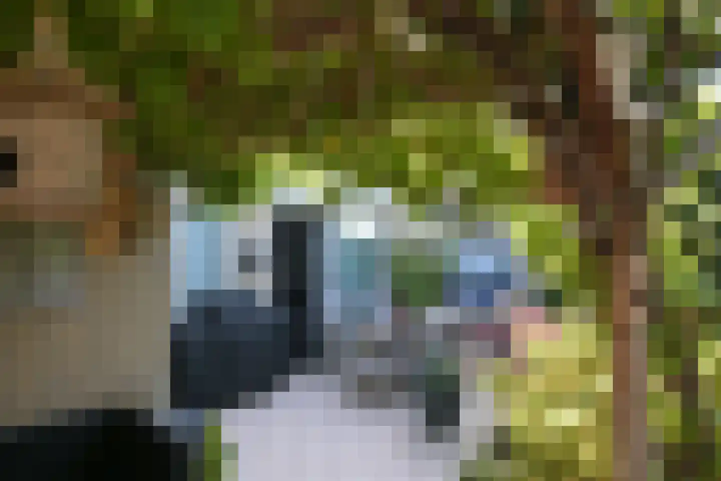 Deel 39 Brielle thumbnail 39