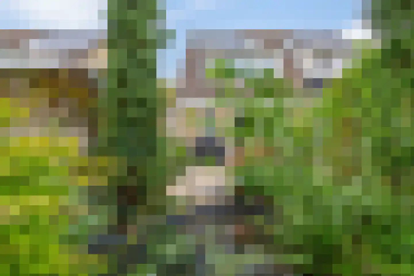 Deel 39 Brielle thumbnail 40