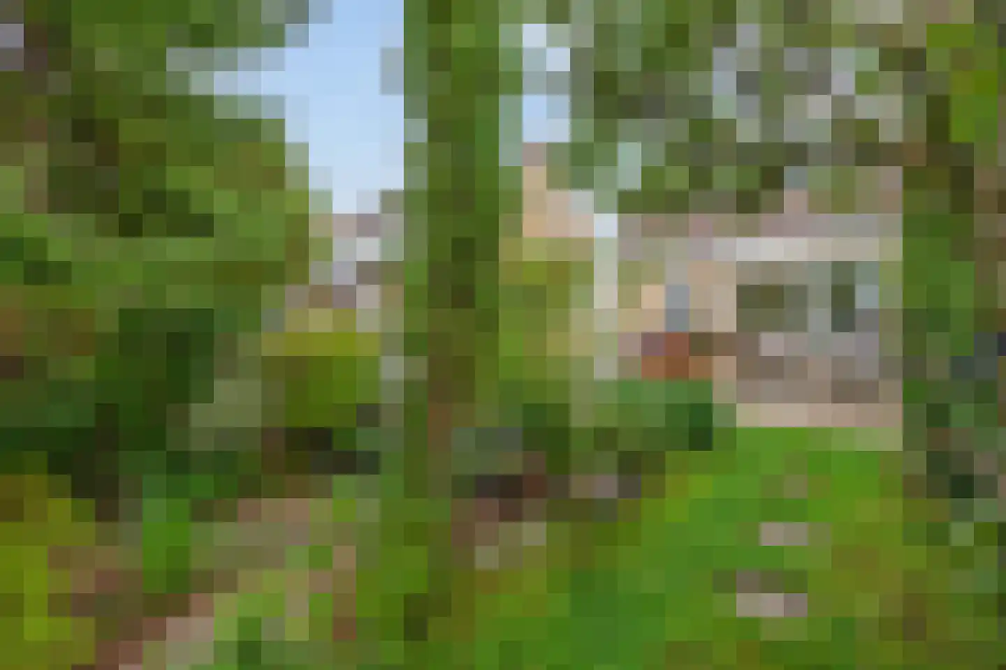 Deel 39 Brielle thumbnail 41