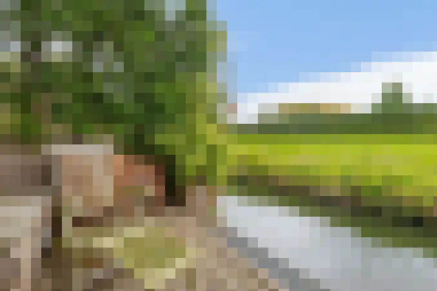 Deel 39 Brielle thumbnail 43