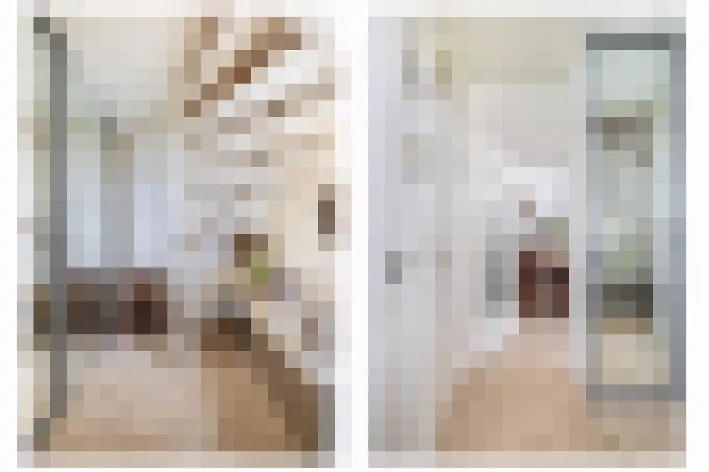 Deel 39 Brielle thumbnail 8