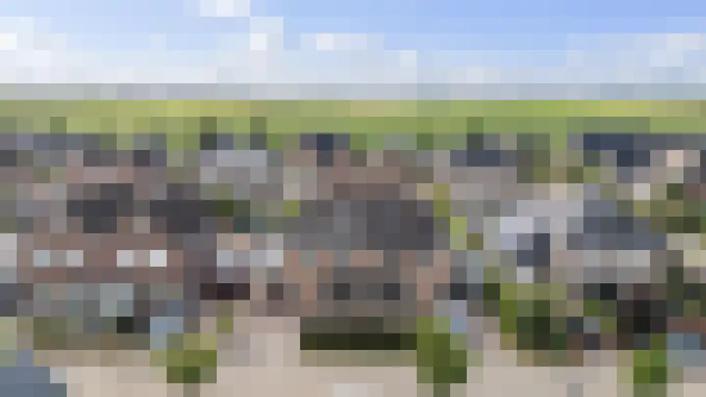 Deel 6 Erica thumbnail 47