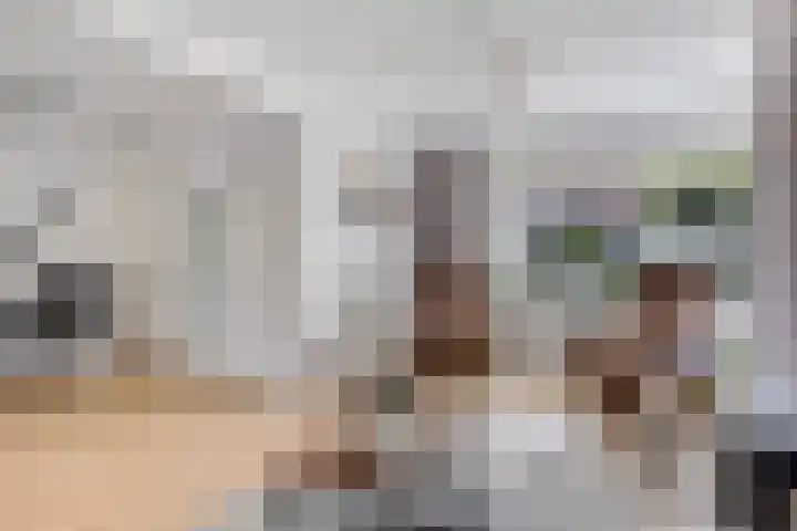 Deel 8 Heerenveen thumbnail 13