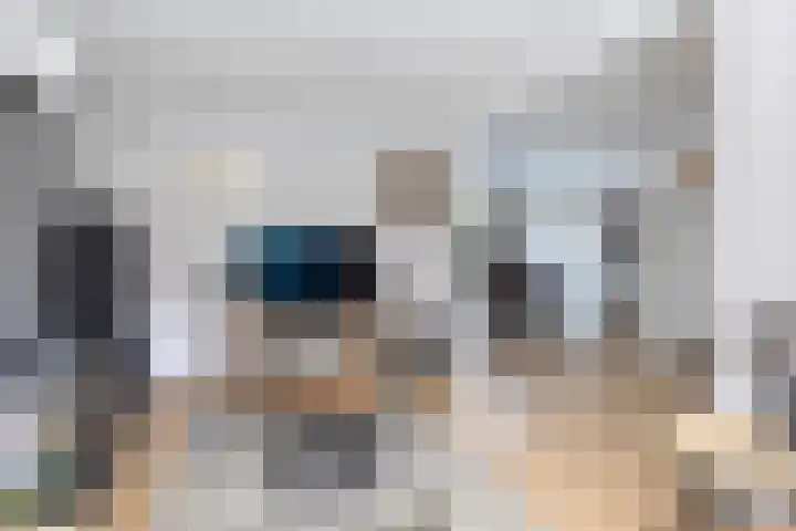 Deel 8 Heerenveen thumbnail 14