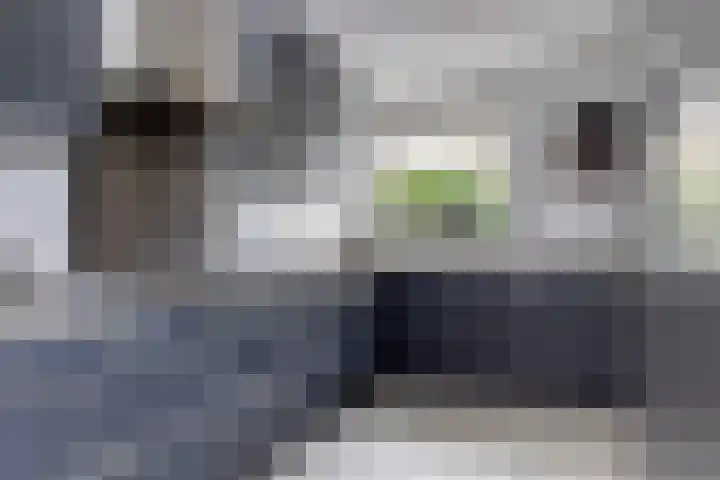 Deel 8 Heerenveen thumbnail 21