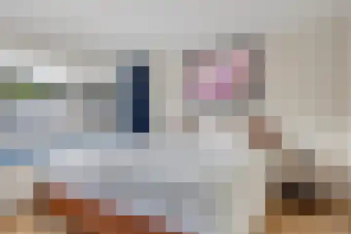 Deel 8 Heerenveen thumbnail 30
