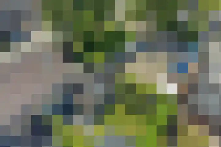 Deel 8 Heerenveen thumbnail 47