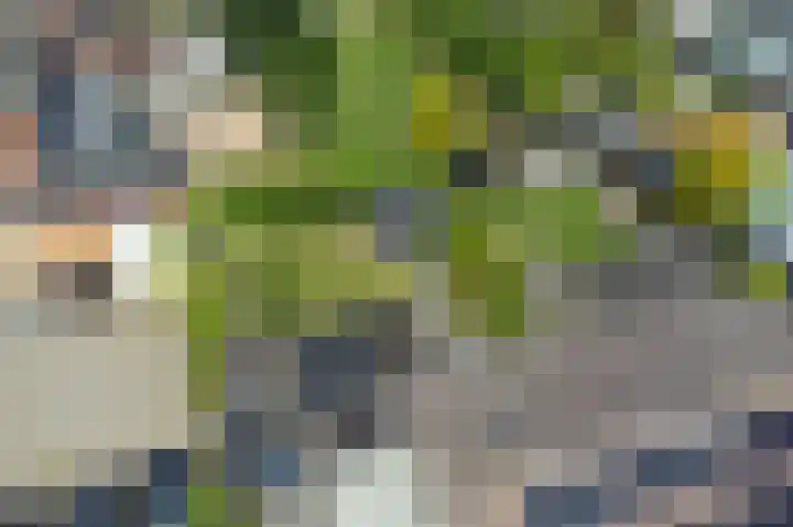 Deel 8 Heerenveen thumbnail 48