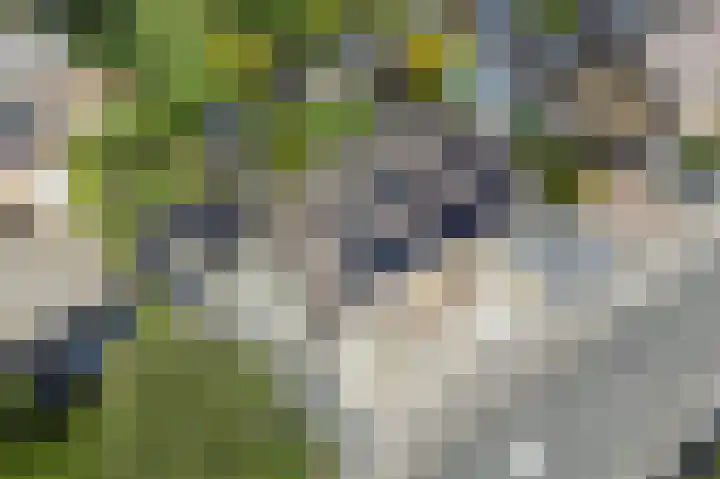 Deel 8 Heerenveen thumbnail 49