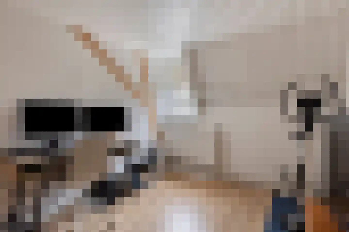 Deel 9 Gemert thumbnail 25