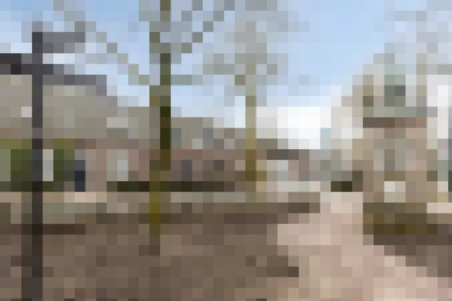 Deel 9 Gemert thumbnail 31