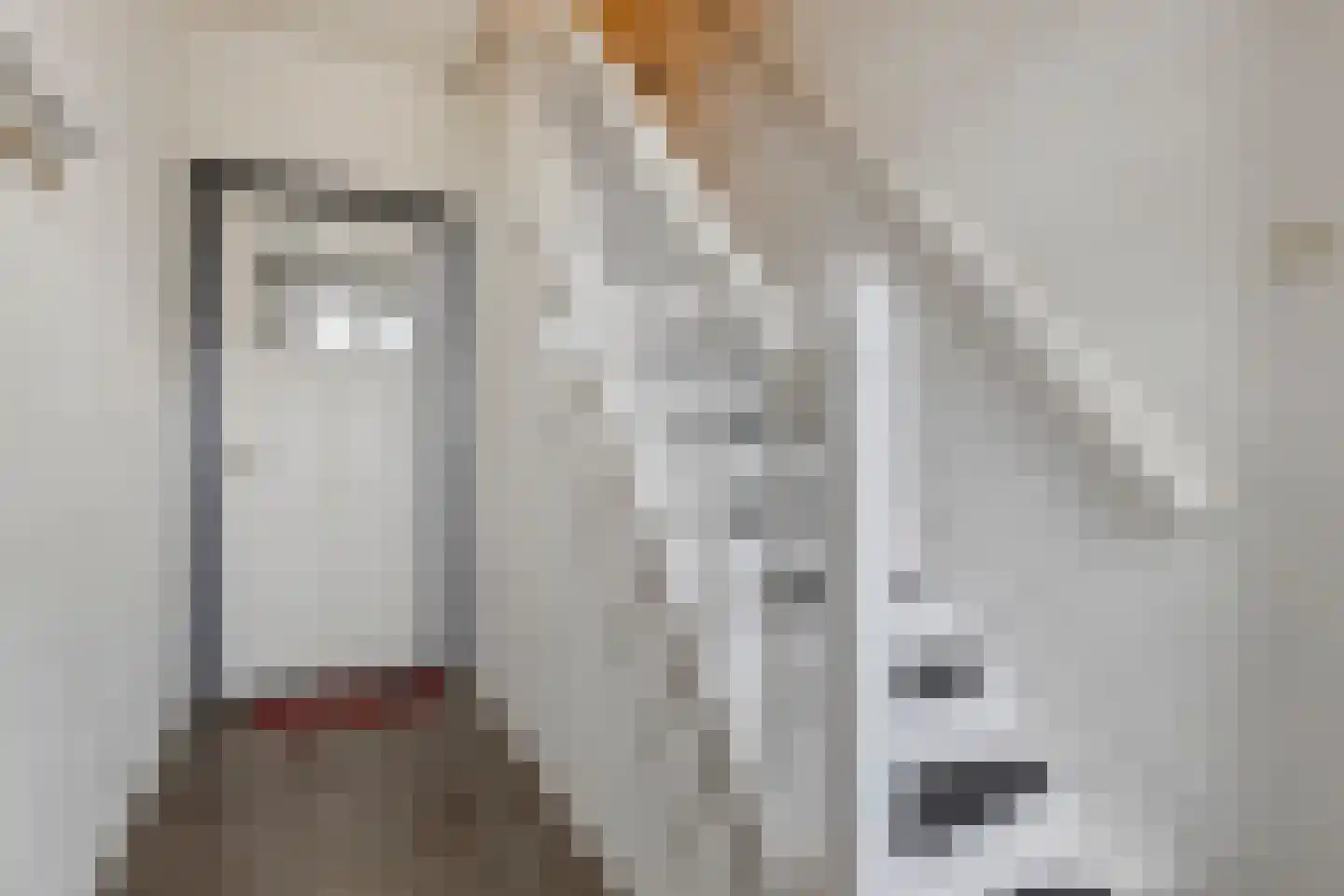 Deel 9 Gemert thumbnail 6