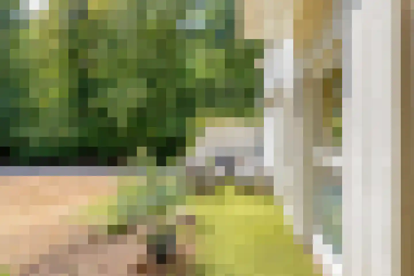 Deelenseweg 56 Arnhem thumbnail 33