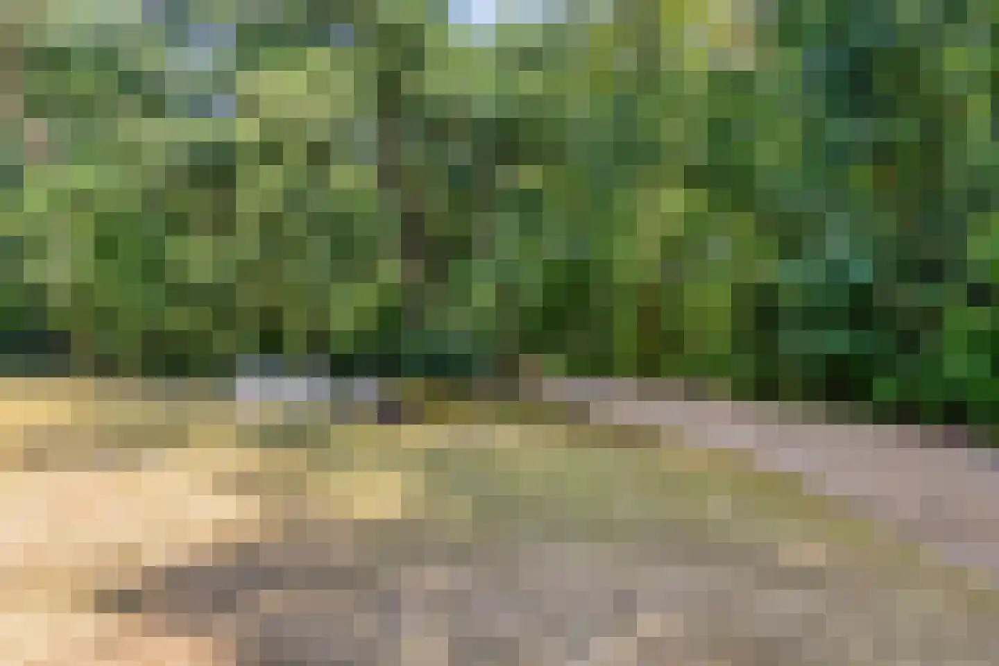 Deelenseweg 56 Arnhem thumbnail 38
