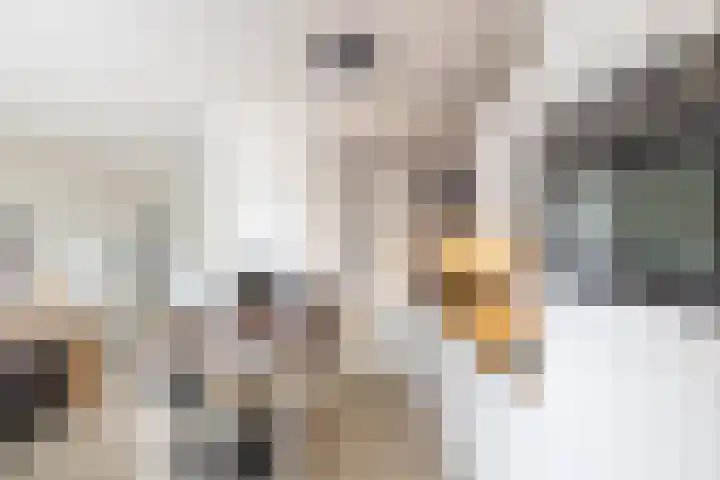 Deelheugte 19 Assen thumbnail 10