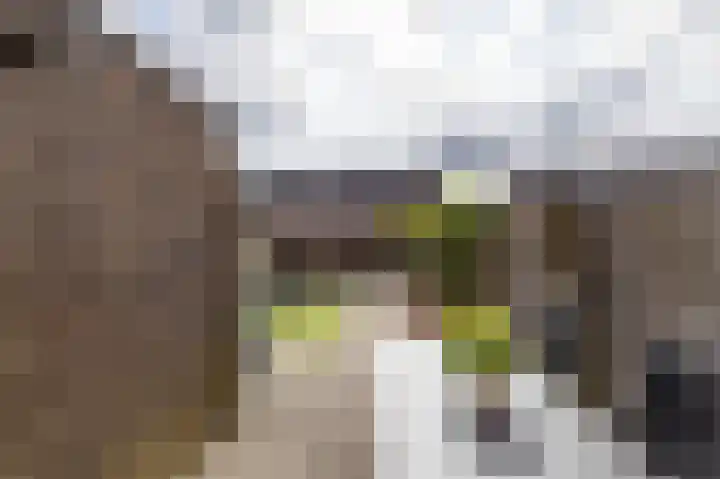 Deelheugte 19 Assen thumbnail 12