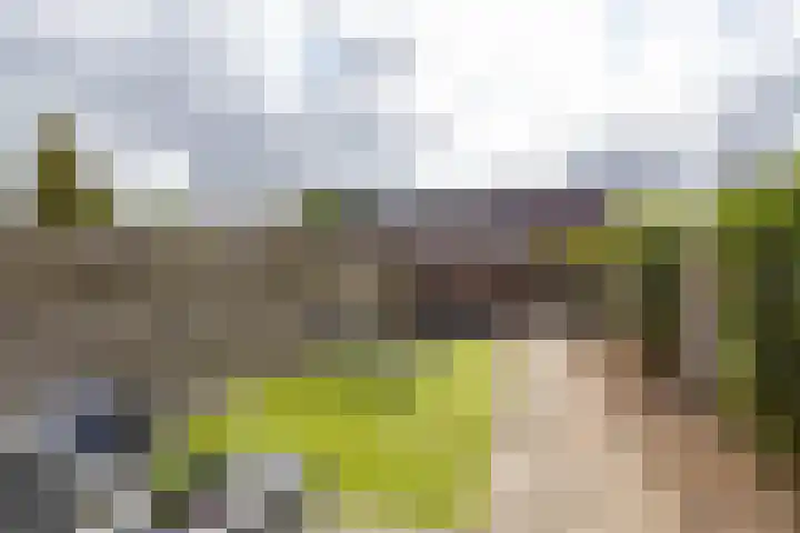 Deelheugte 19 Assen thumbnail 13