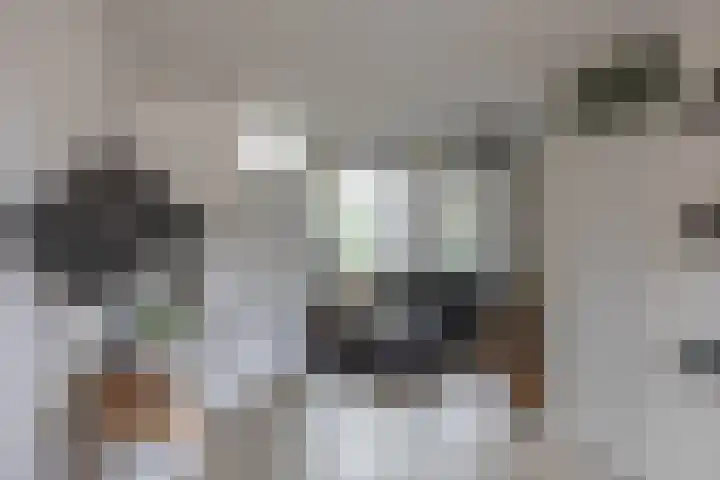 Deelheugte 19 Assen thumbnail 19