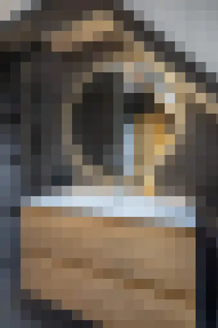 Deelheugte 19 Assen thumbnail 30