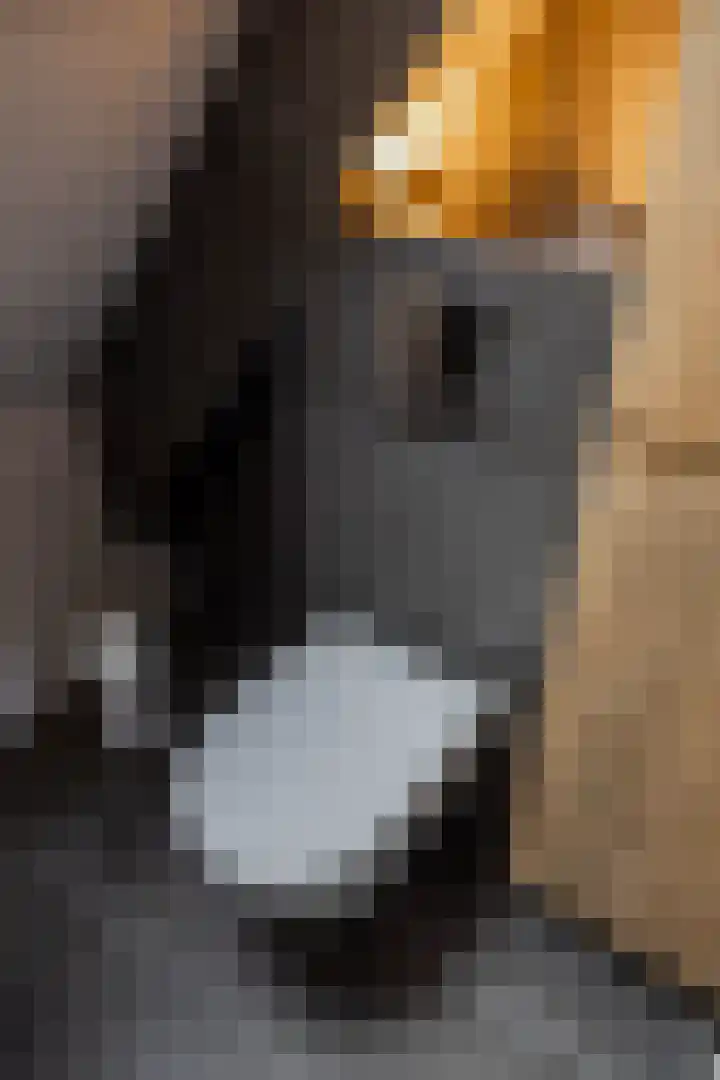 Deelheugte 19 Assen thumbnail 31