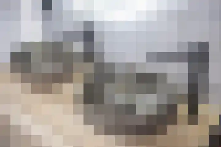 Deelheugte 42 Assen thumbnail 61
