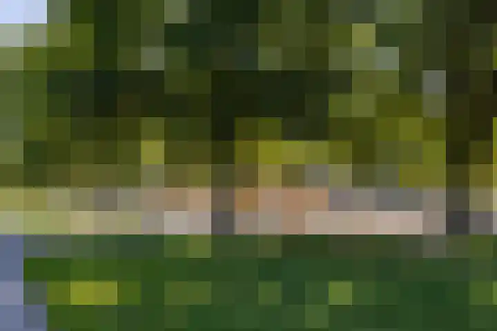 Deelheugte 42 Assen thumbnail 66