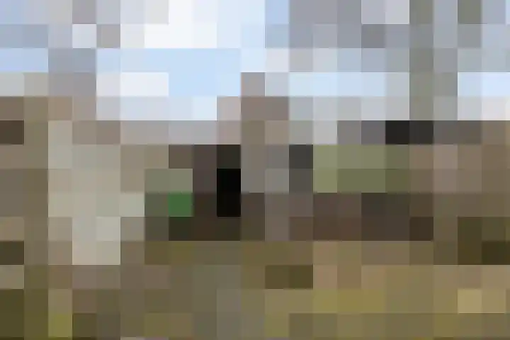 Deelheugte 76 Assen thumbnail 15