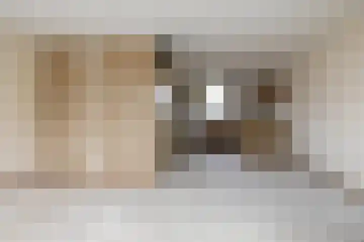 Deelheugte 76 Assen thumbnail 5