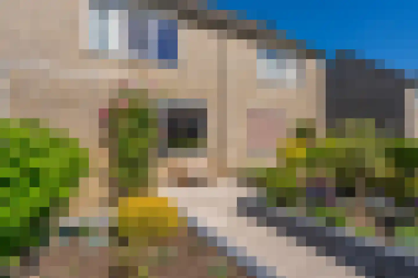 Deelheugte 97 Assen thumbnail 12