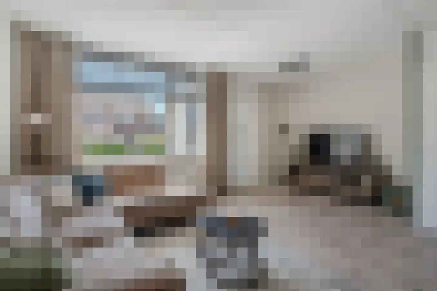 Deelheugte 97 Assen thumbnail 20