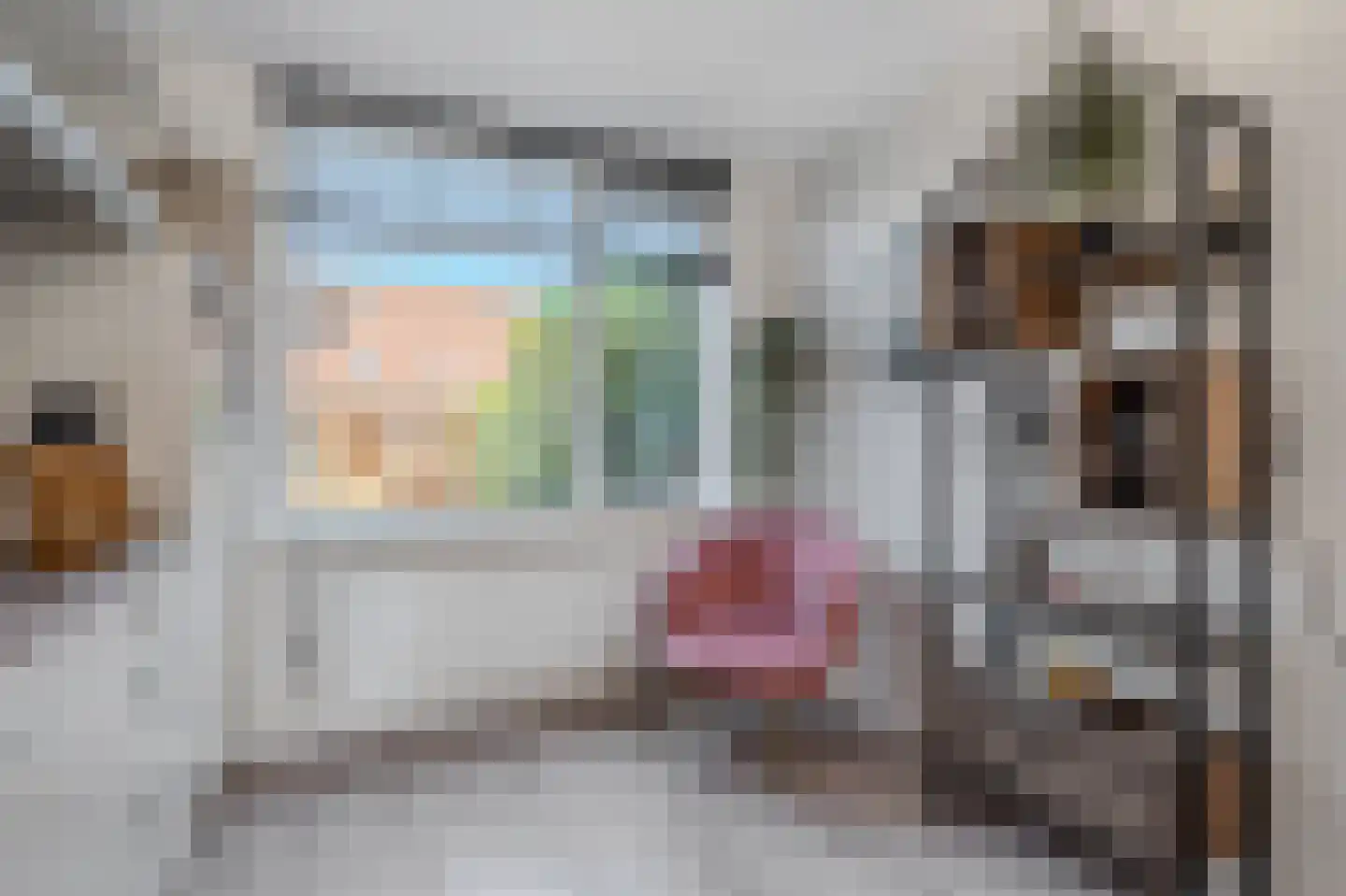 Deelheugte 97 Assen thumbnail 23