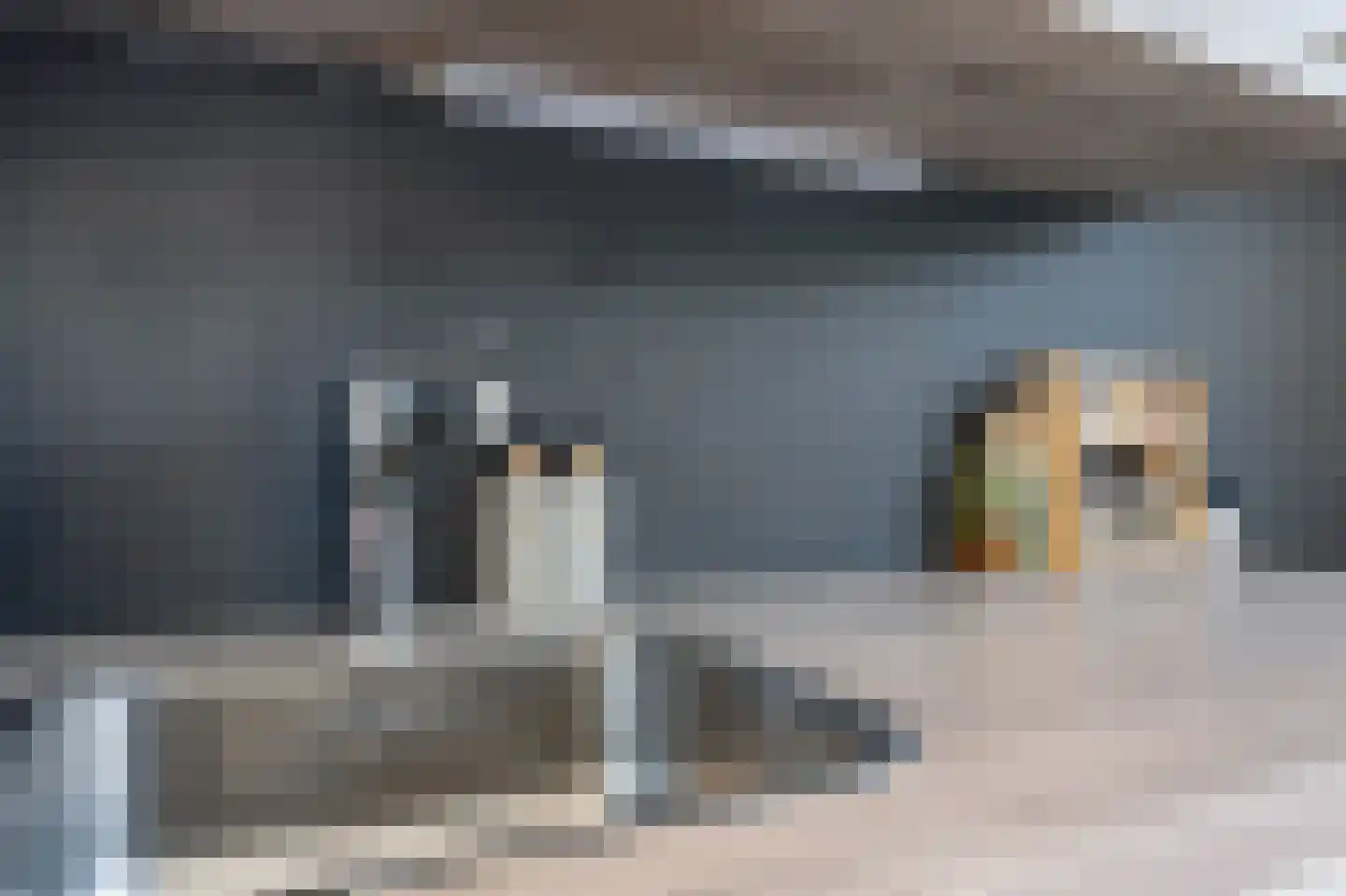 Deelheugte 97 Assen thumbnail 24