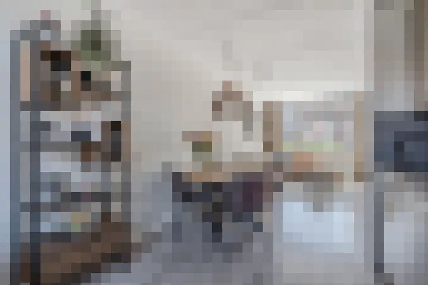 Deelheugte 97 Assen thumbnail 26