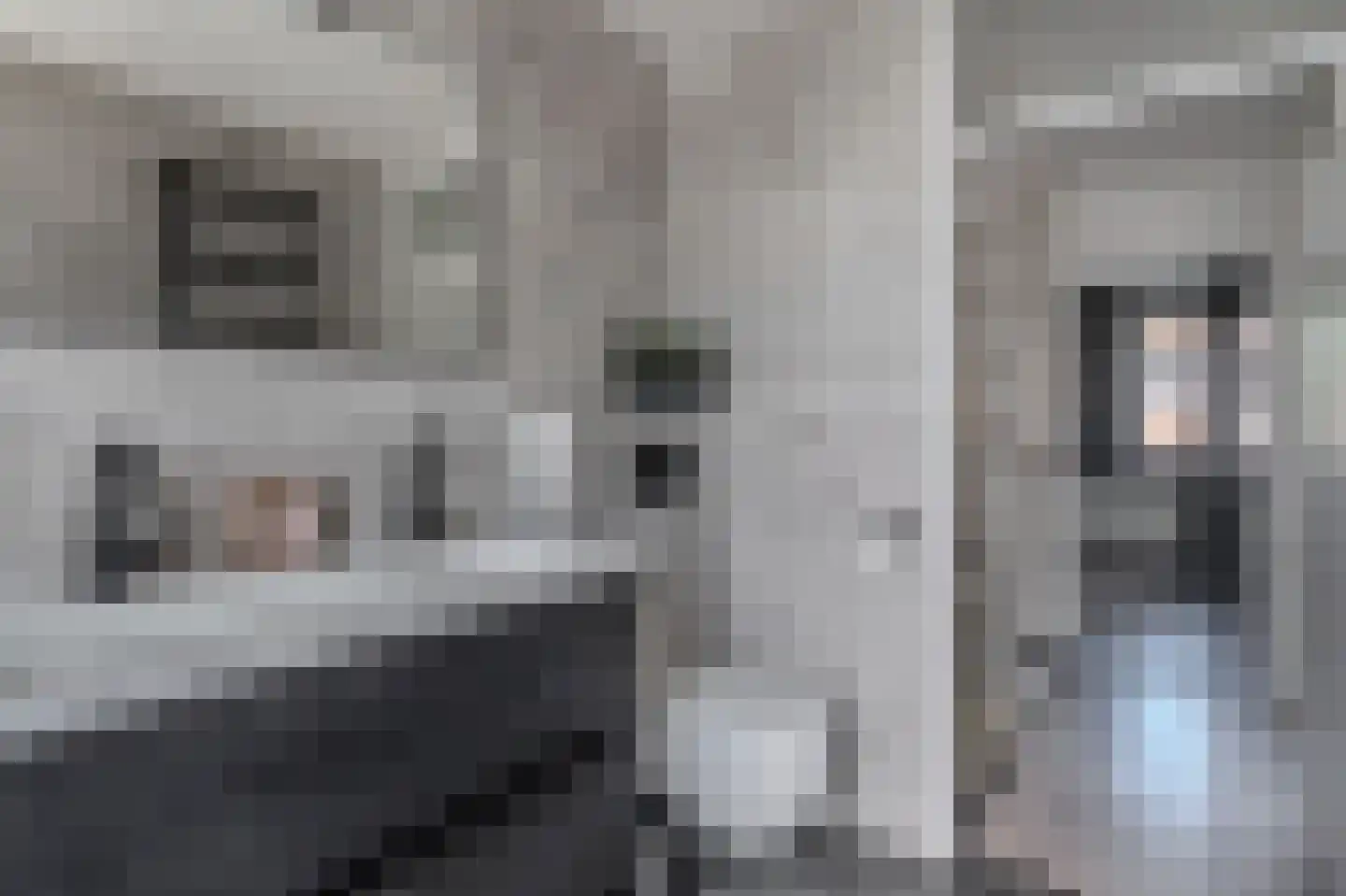 Deelheugte 97 Assen thumbnail 37