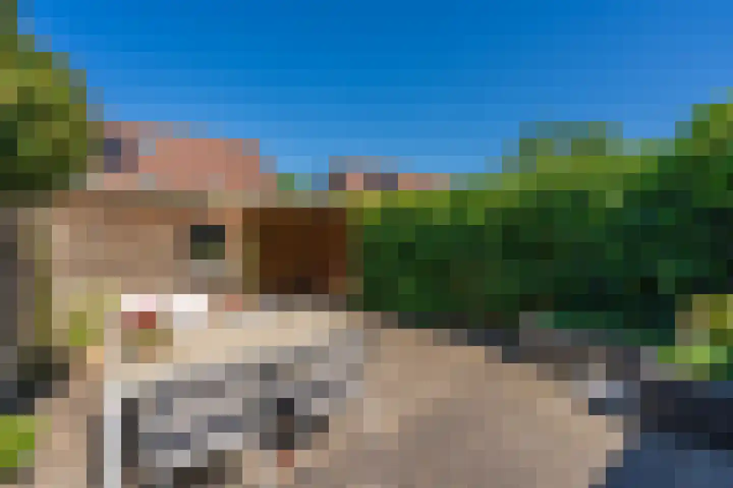 Deelheugte 97 Assen thumbnail 45