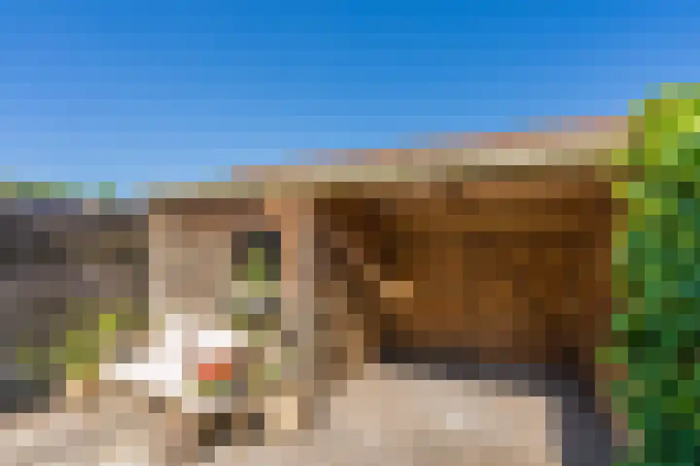 Deelheugte 97 Assen thumbnail 46
