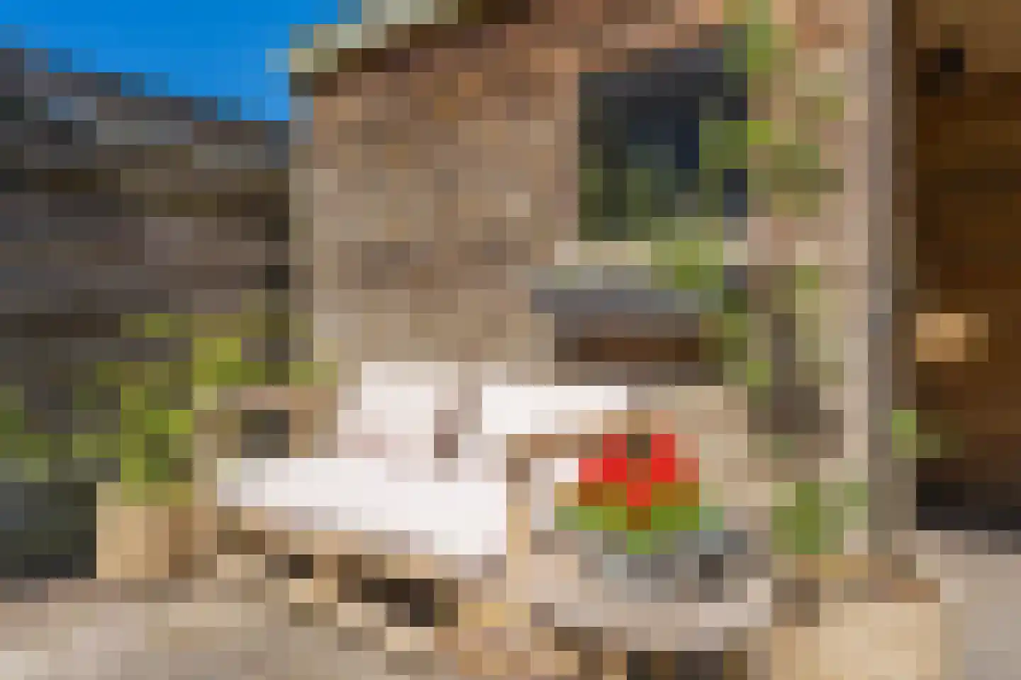 Deelheugte 97 Assen thumbnail 47