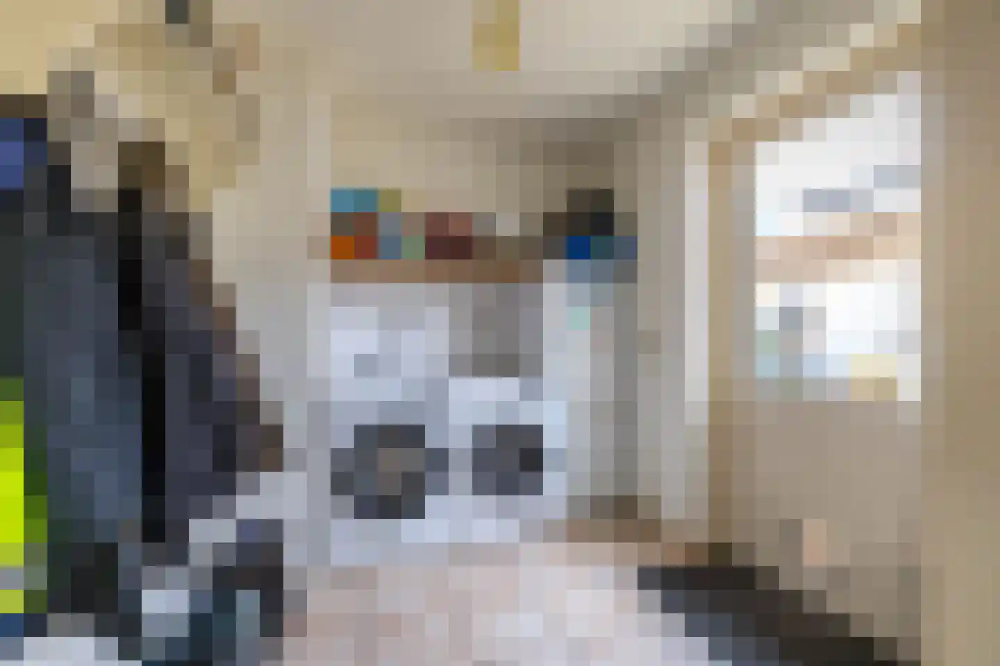 Deeling 9 Roden thumbnail 19