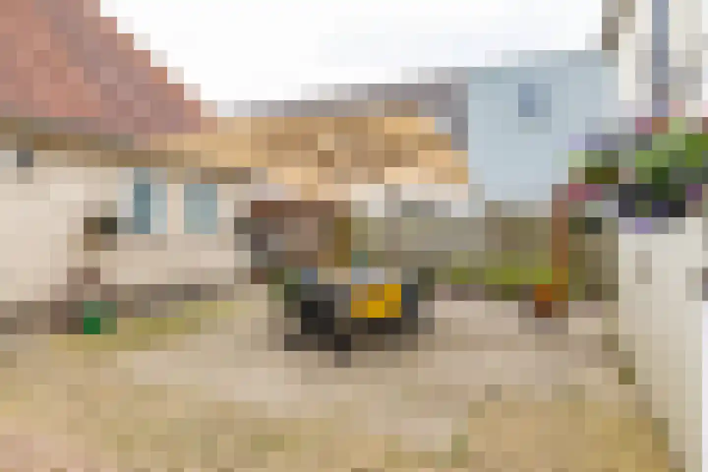 Deeling 9 Roden thumbnail 41