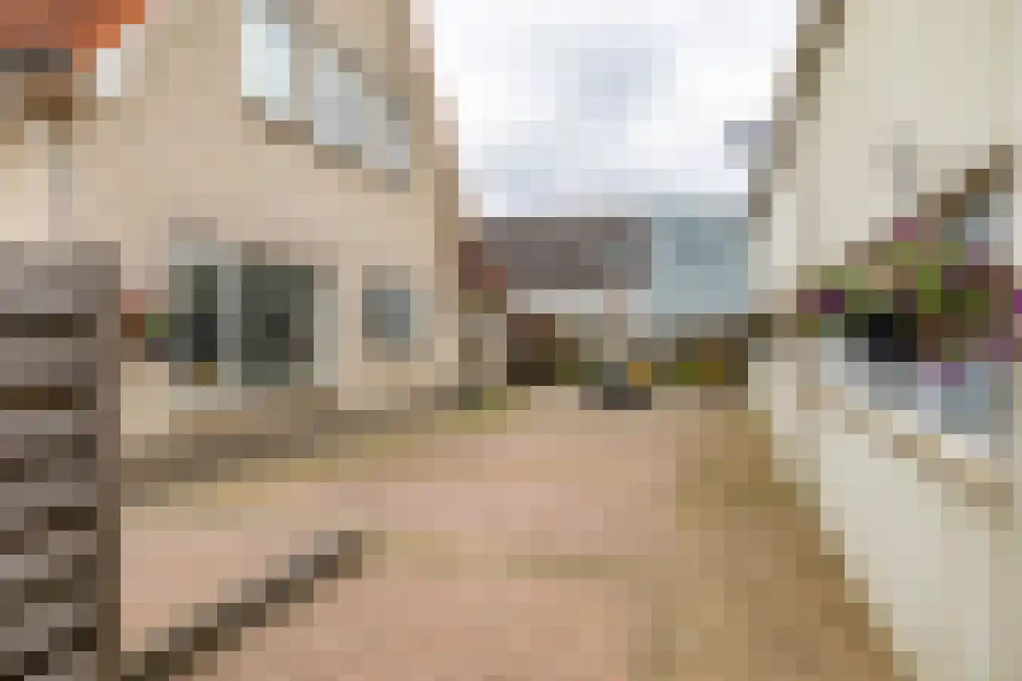 Deeling 9 Roden thumbnail 46
