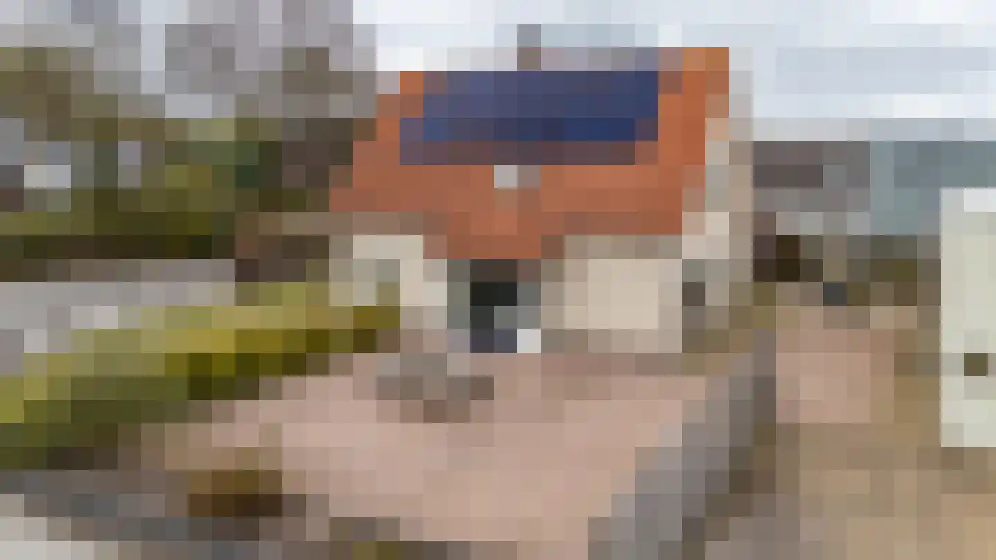 Deeling 9 Roden thumbnail 47
