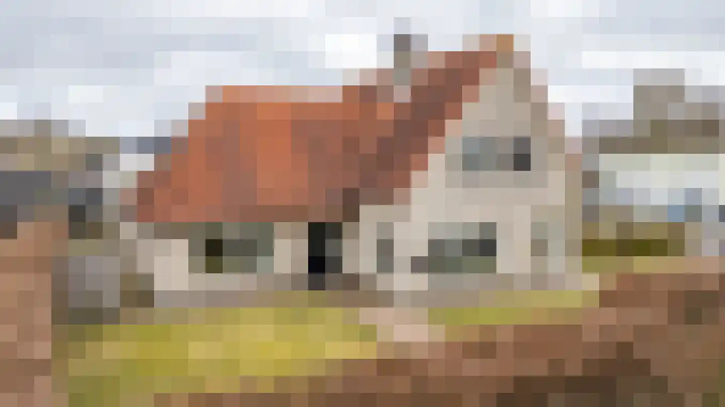 Deeling 9 Roden thumbnail 49