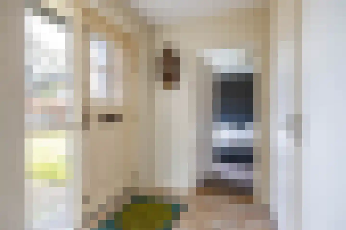 Deeling 9 Roden thumbnail 5